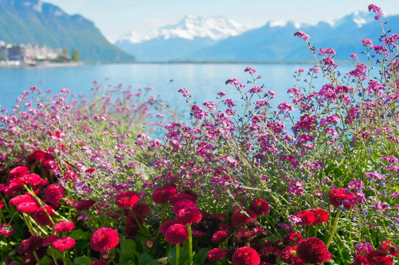 Summer in Montreux